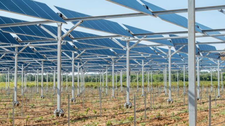 Comment combiner agriculture et photovoltaïque
